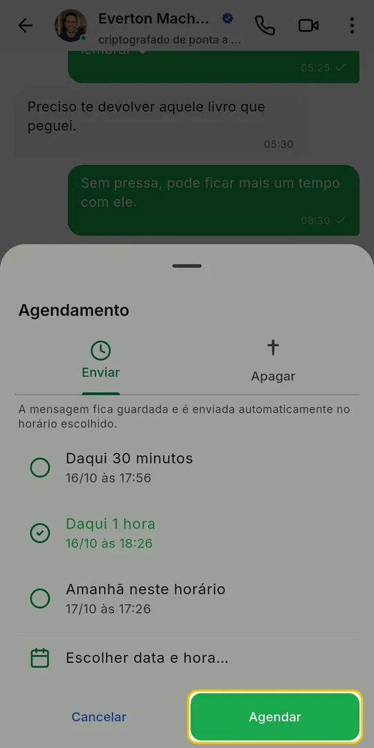 Painel Agendamento com uma opção marcada e o botão Agendar em destaque