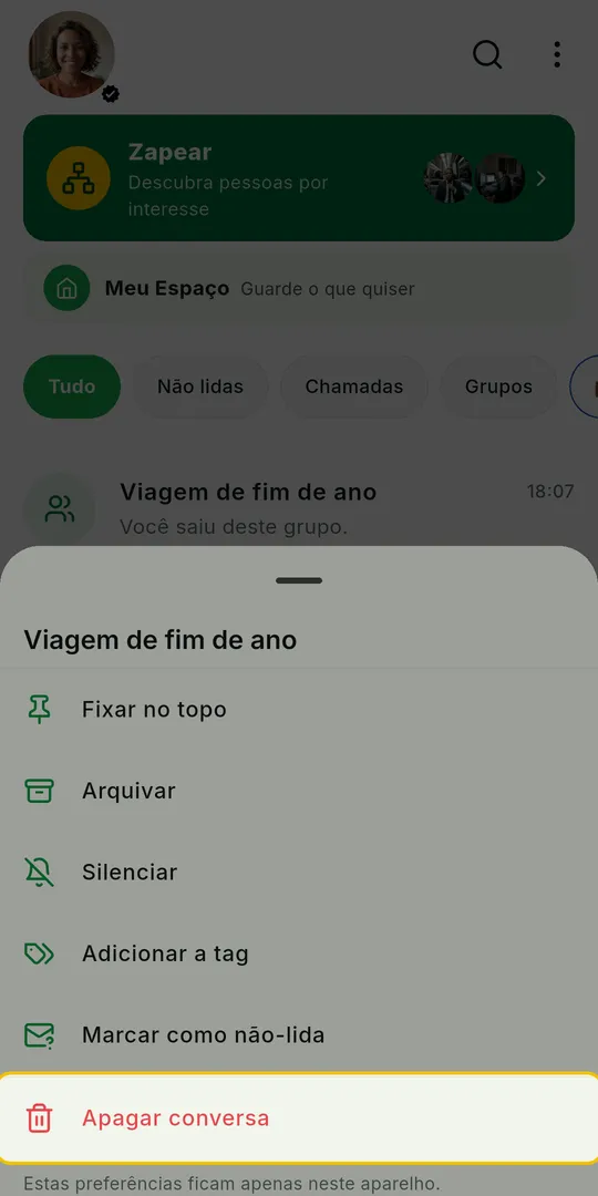 Painel de opções do grupo com Apagar conversa, em vermelho, em destaque