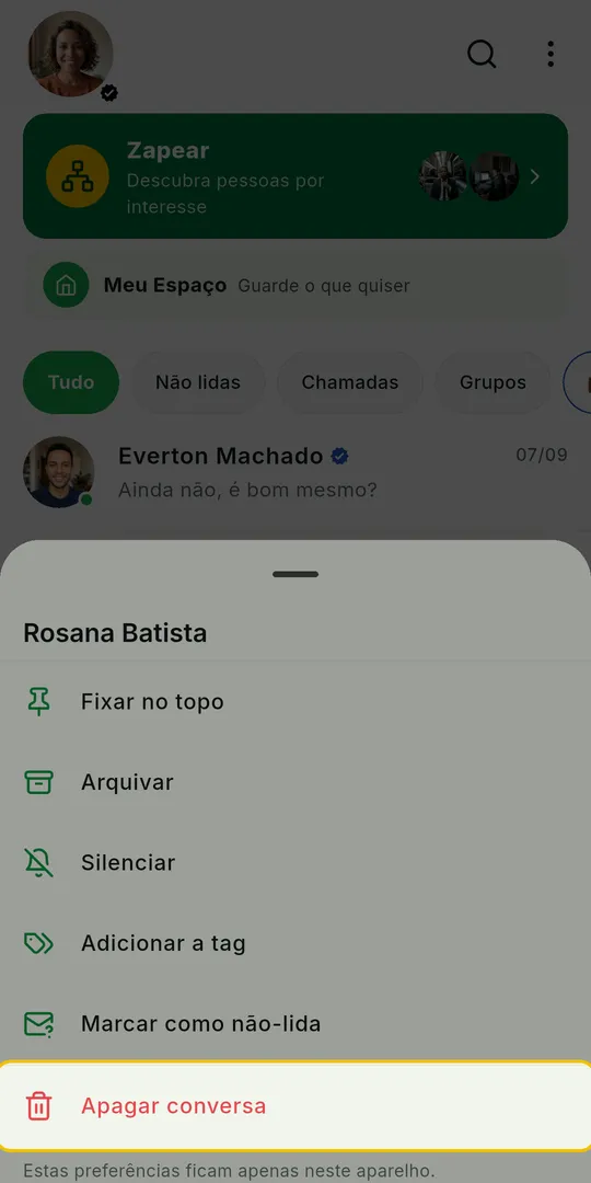 Painel de opções da conversa com Apagar conversa, em vermelho, em destaque