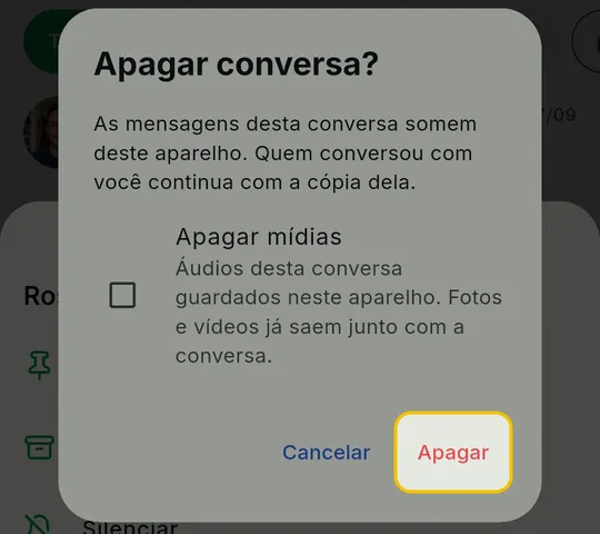 Janela Apagar conversa? com o botão Apagar em destaque