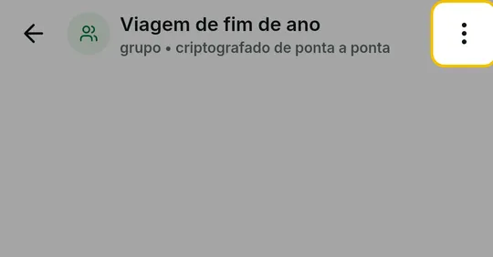 Alto da conversa do grupo com o menu de três pontos em destaque