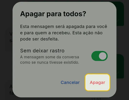 Janela Apagar para todos? com a chave Sem deixar rastro ligada e o botão Apagar em destaque