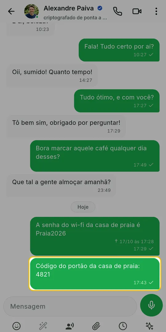 Conversa com uma foto marcada em verde e a barra de ícones no alto da tela