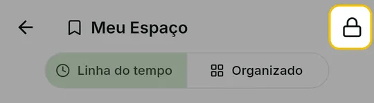 Alto da tela Meu Espaço com o cadeado do Cofre em destaque