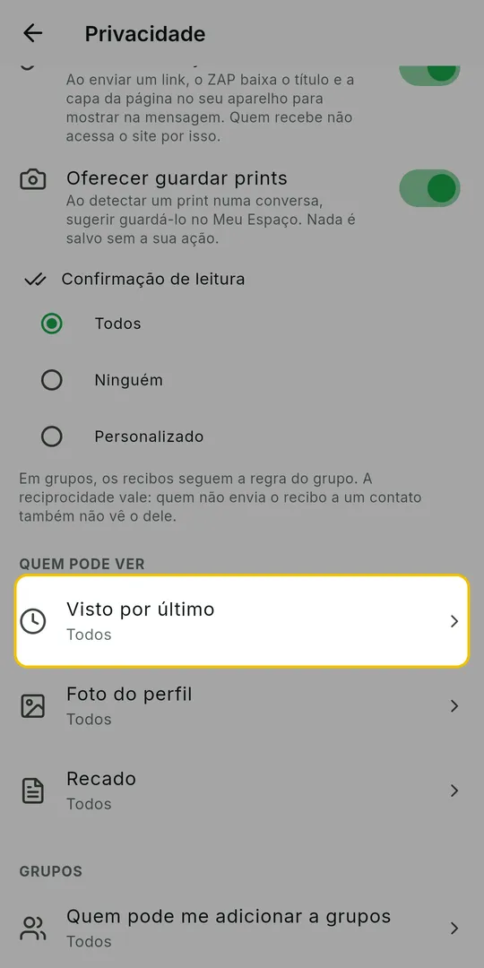 Tela Privacidade com o bloco Quem pode ver e a opção Visto por último em destaque