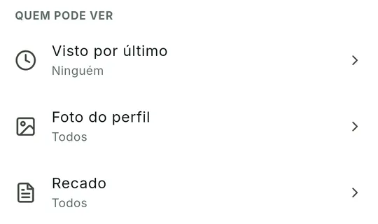 Bloco Quem pode ver da tela Privacidade com Visto por último marcado como Ninguém