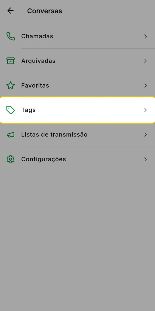 Tela Conversas com a opção Tags em destaque