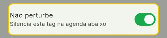 Chave Não perturbe ligada no painel Editar tag