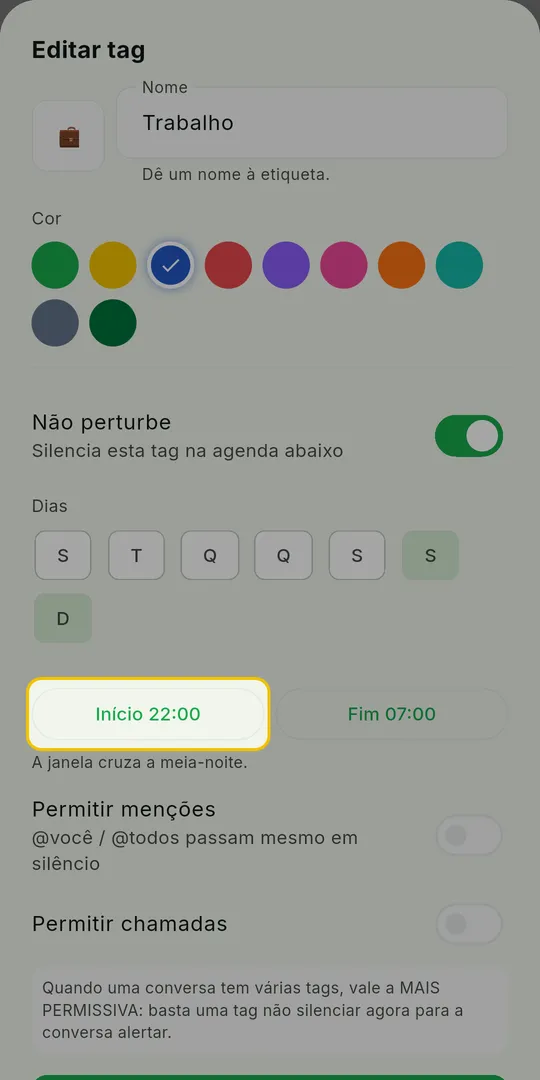 Painel Editar tag com os dias da semana, os botões Início e Fim e a opção Permitir menções