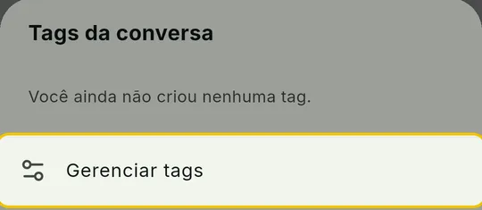 Painel Tags da conversa com o botão Gerenciar tags em destaque