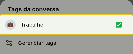 Painel Tags da conversa com uma tag marcada