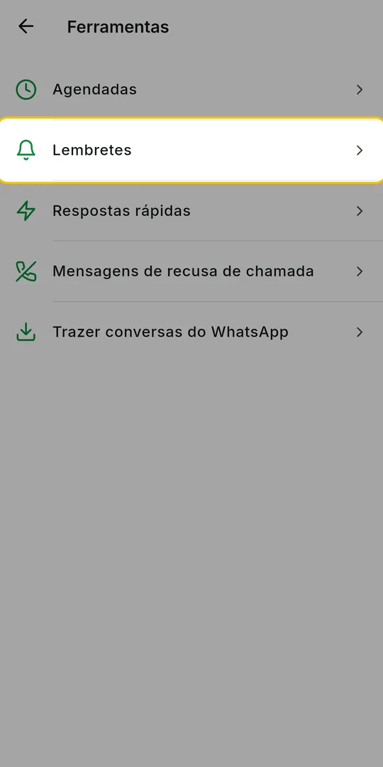 Tela Ferramentas com a opção Lembretes em destaque