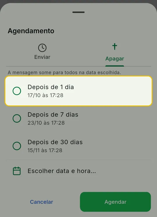 Aba Apagar com as opções Depois de 1 dia, Depois de 7 dias, Depois de 30 dias e Escolher data e hora