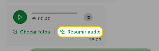 Bolha de áudio recebido com o link Resumir áudio abaixo do player