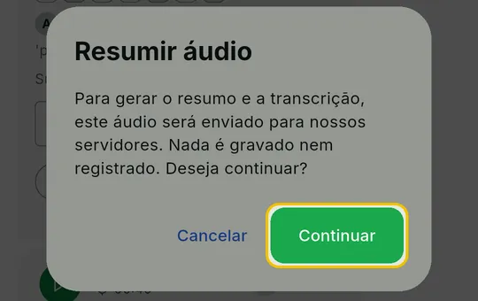 Janela Resumir áudio com o aviso de privacidade e os botões Cancelar e Continuar