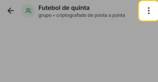 Alto da conversa do grupo com o menu de três pontinhos em destaque