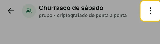 Alto da conversa do grupo com o menu de três pontos em destaque
