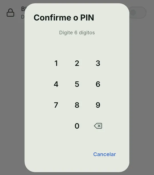 Janela Confirme o PIN com o teclado numérico